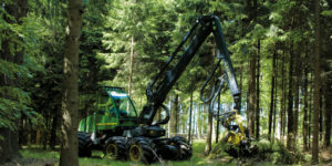Holzgruppe Sporrer | Forstservice Holzeinschlag